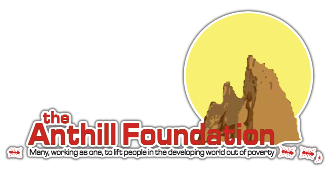 The Anthill Foundation